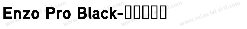Enzo Pro Black字体转换